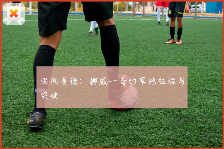 温网鲁德:挪威一哥的草地征程与突破
